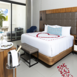 surprise surprise costa mujeres