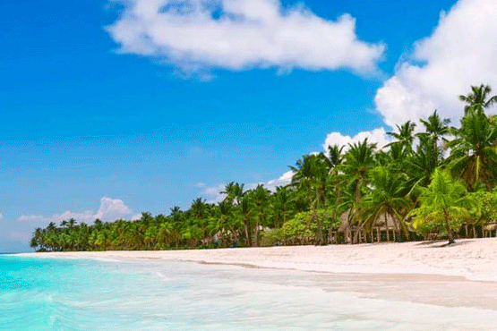 destination punta cana destination weddings punta cana majestic resorts